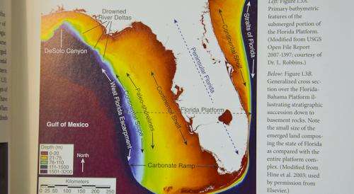 Geologic formation of Florida