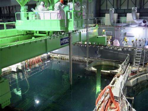 Japan sees future business in Fukushima cleanup
