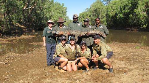 Kimberley survey nets plenty of crocs