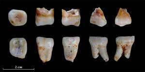 Lunadong fossils support theory of earlier dispersal of modern man