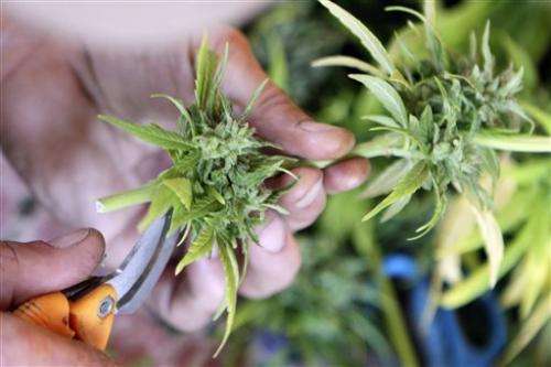 Marijuana legalization effort begins in California