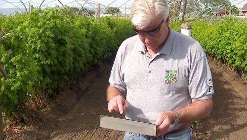 Mathematicians help California drought-weary berry growers address water issues