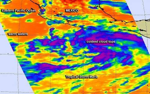 NASA's infrared data shows newborn Tropical Storm Marie came together