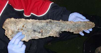 New critter discovered on whale carcass
