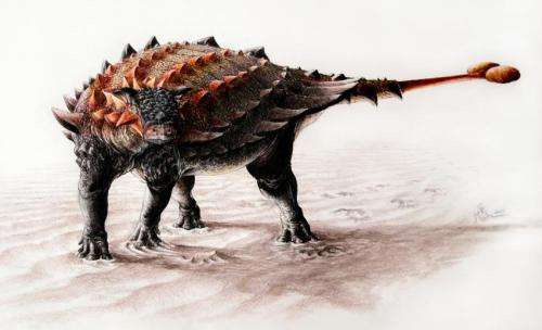 New dinosaur from New Mexico has relatives in Alberta