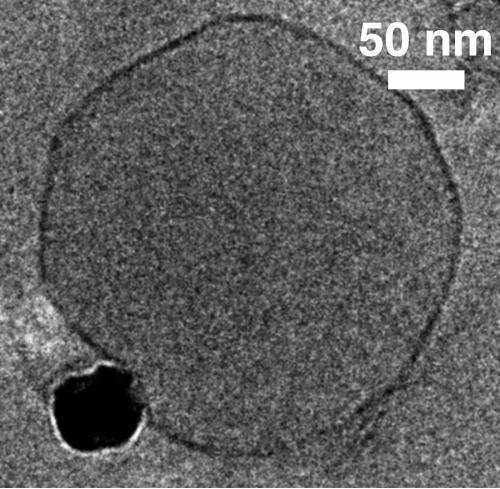 Researcher examines nanoparticle-membrane interactions to determine safety