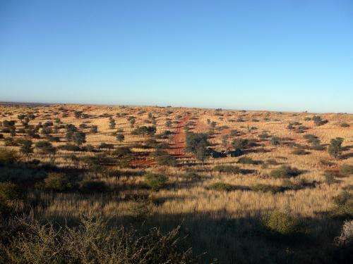 Sleeping sands of the Kalahari awaken after more than 10,000 years