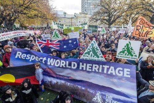 Some 5,000 Tasmanians rally to oppose the delisting of Tasmania's World Heritage forests, in Hobart, on June 14, 2014