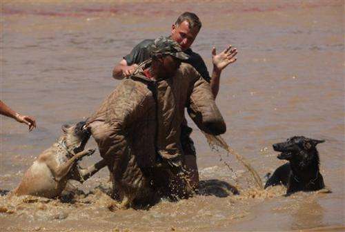 South African academy trains anti-poaching dogs