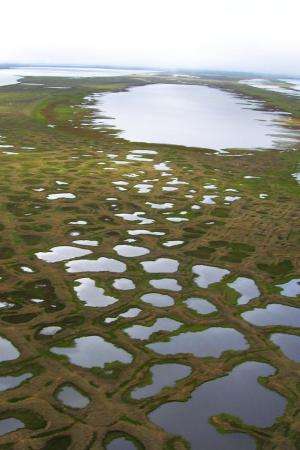 Study: Climate-cooling arctic lakes soak up greenhouse gases