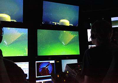 Study describes deep-sea animal communities on and around a sunken shipping container
