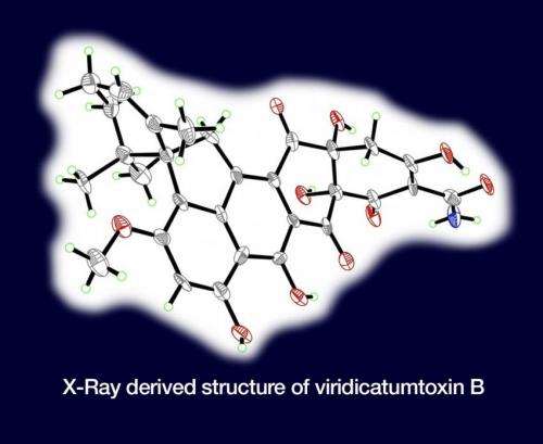 Synthesis produces new antibiotic