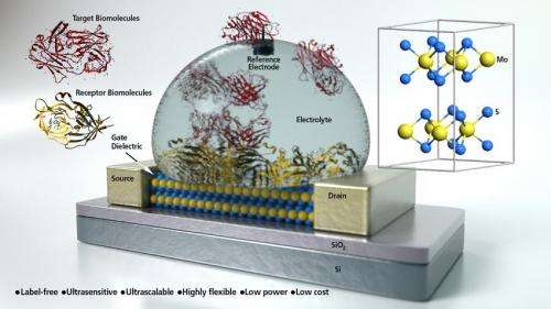 UCSB researchers develop ultra sensitive biosensor from molybdenite semiconductor