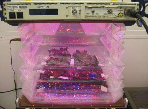 Veggie will expand fresh food production on space station