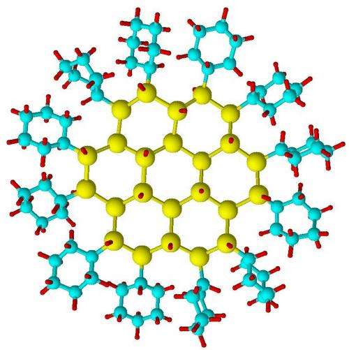 World’s smallest reference material is big plus for nanotechnology