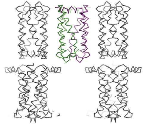 X-rays unlock a protein’s SWEET side