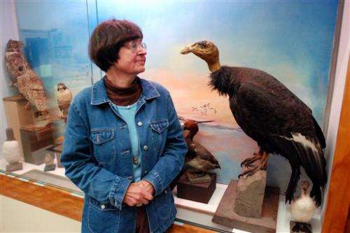 Yurok Tribe to release condors in California