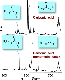 Preparation and characterization of gas-phase carbonic acid and its monomethyl ester