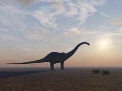 Scientists discover why Diplodocus did not put all her eggs in one basket