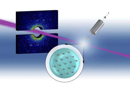 Researchers map quantum vortices inside superfluid helium nanodroplets