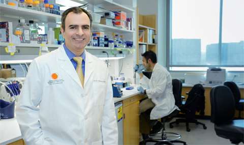 Researchers identify key mechanism in metabolic pathway that fuels cancers