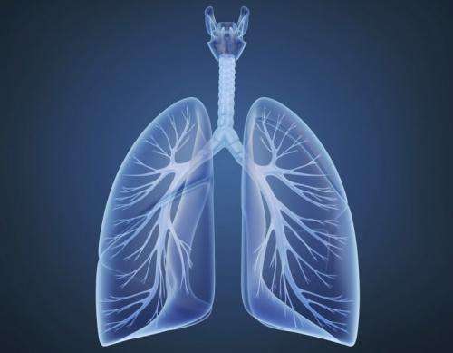 Research team learns more about why airway closes up during asthma attacks