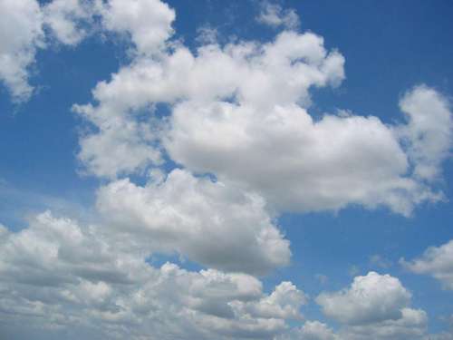 Researchers show emissions from forests influence very first stage of cloud formation