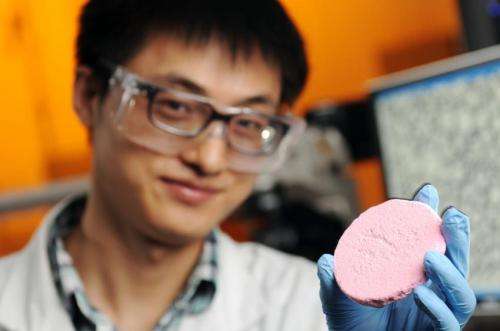 New technique to make foams could lead to lightweight, sustainable materials