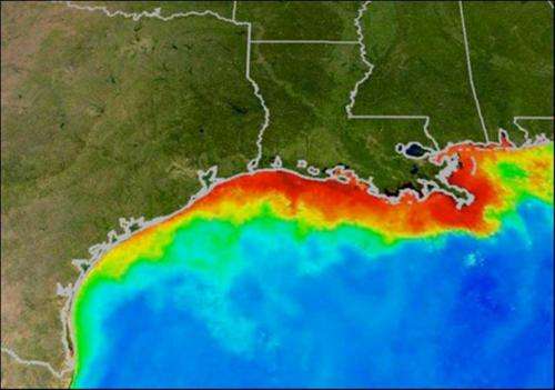 Researchers predict average Gulf of Mexico 'dead zone,' slightly above-average in Chesapeake Bay