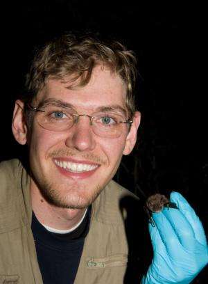 Researchers tap into social networks of endangered Indiana bat to aid in habitat management