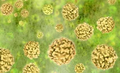 Researchers develop new methods to keep resistant gonorrhoea in check