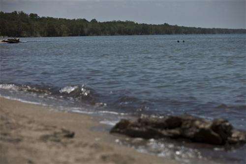Cuba looks to mangroves to fend off rising seas