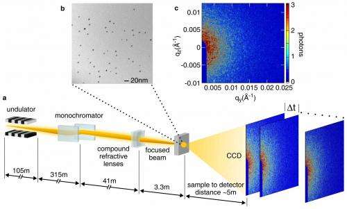 Experiment shows potential of X-ray laser to study complex, poorly understood materials