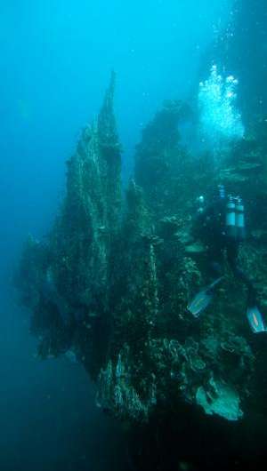 Hydrothermal vents could explain chemical precursors to life