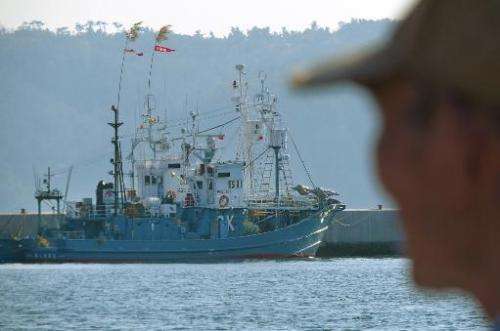 Japanese whaling ships are anchored at Ayukawa port in Ishinomaki, on April 25, 2014