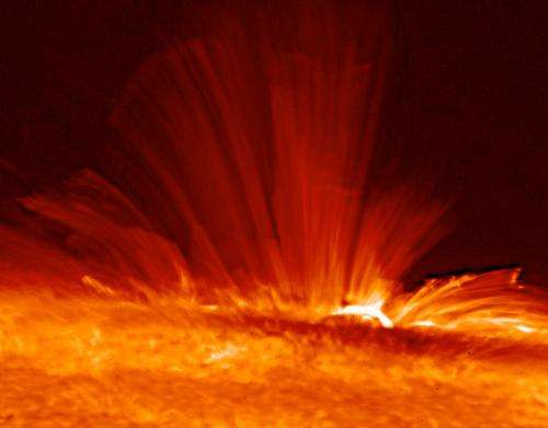 Magnetic fields on solar-type stars