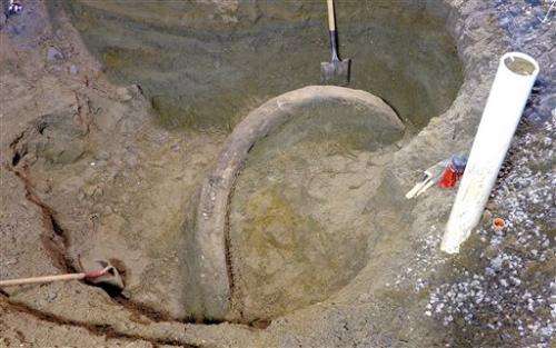 Mammoth tusk lifted from Seattle construction pit