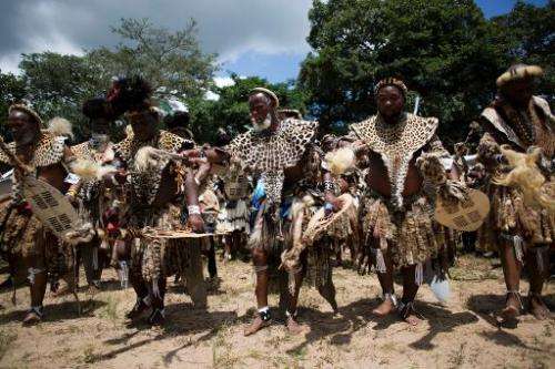 Members of the Shembe Church (Nazareth Baptist Church), a traditionalist Zulu church, dance in their leopard-skins to worship Go