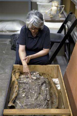 Museum rediscovers ancient skeleton in storage