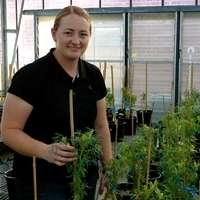 New research provides understanding that helps control legume viruses