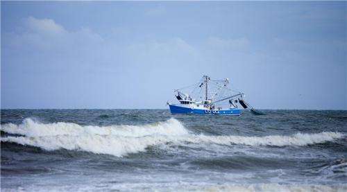 Over-demanding market affects fisheries more than climate change