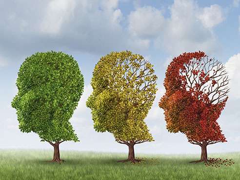 Personalized dementia risk assessment now available