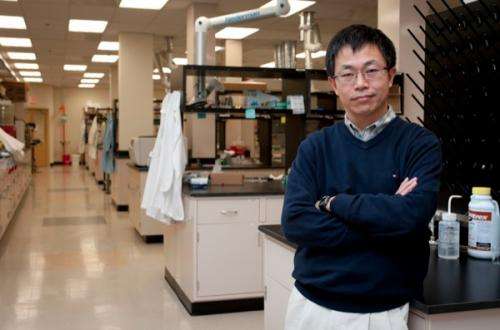 Researcher discovers inexpensive catalyst to produce oxygen and hydrogen gas