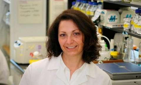 Scientist finds drug combination that stops growth of breast cancer cells
