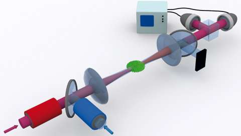 Scientists demonstrate switching effects caused by single photons