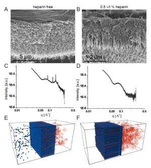 Self-assembly of layered membranes
