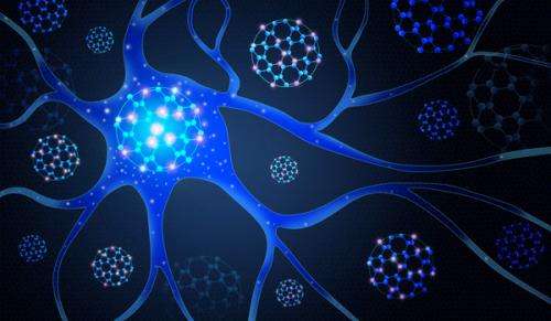 Stanford scientists reveal complexity in the brain's wiring diagram