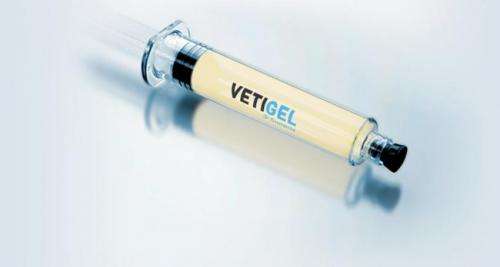 Startup creates VetiGel, a plant based polymer that seals wounds in seconds