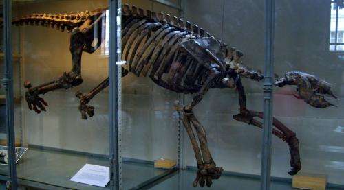 Researchers discover evidence in bones that shows ancient sloths returned to the sea