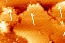 Researchers prove stability of wonder material silicene